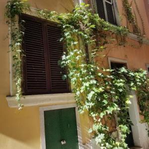 Navona's Flat Alley