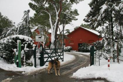 Tenuta Agricola Fonte Di Papa - image 10