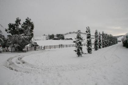 Tenuta Agricola Fonte Di Papa - image 11