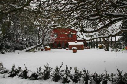 Tenuta Agricola Fonte Di Papa - image 12