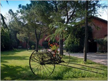 Tenuta Agricola Fonte Di Papa - image 16