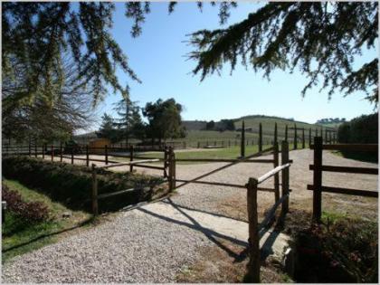 Tenuta Agricola Fonte Di Papa - image 19