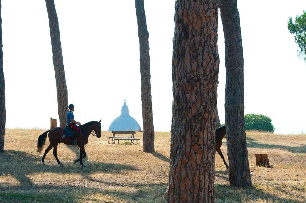 Pinewood Hotel Rome - image 3