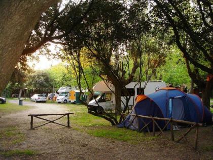 Camping Internazionale Di Castelfusano - image 6