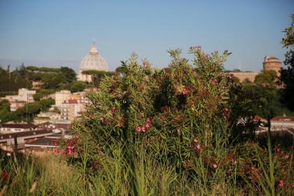 B&B All'Ombra di San Pietro - image 1