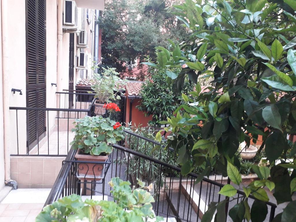 Gioia Guest House - image 4