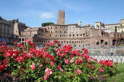 All Suite Colosseo - image 19