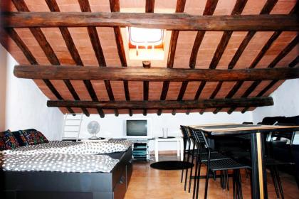 Rome Center Attic Penthouse - image 18