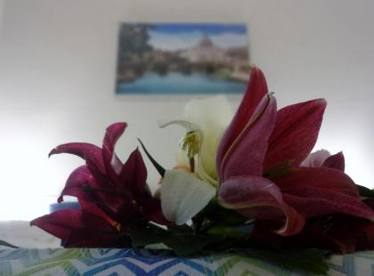 Romulea Guest House - image 7