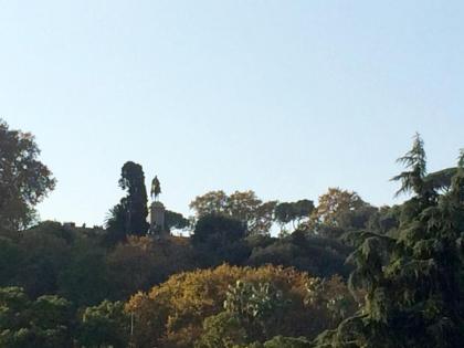 Garibaldi Roof Garden - image 2