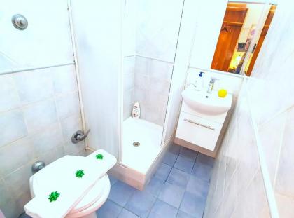 La Casa Simpatia Verde Roma - Free secure parking if you book 3 nights - image 18