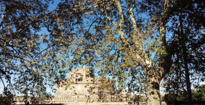 Trastevere Star - image 6