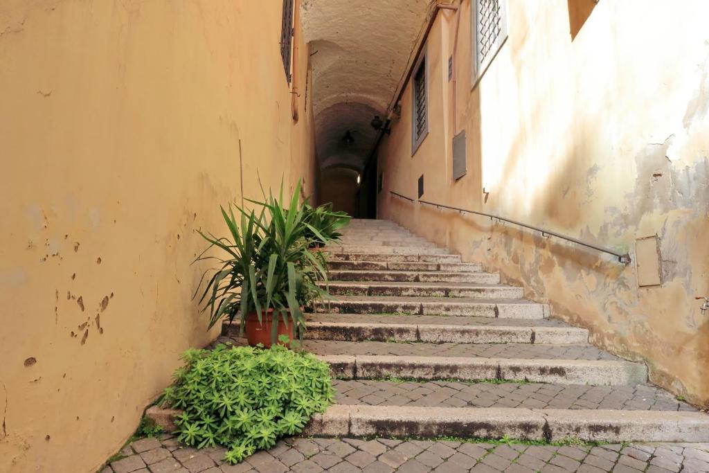 Monti charming apartment - Rome short let Service - image 6