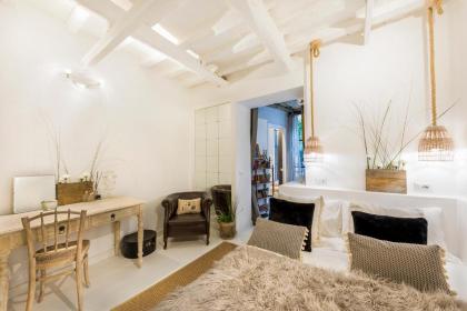 Trastevere Luxury&Charming Loft with Courtyard - image 11