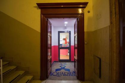 Aquarium Termini - image 17