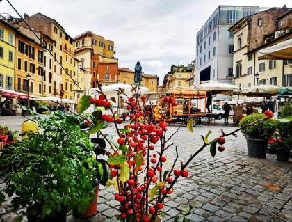 B&B Palazzo Fracassini Rome 