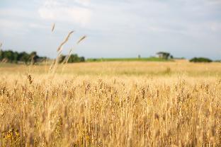 Enchanting country house - RELAX - Close to Rome - image 3