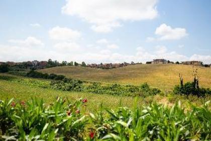 Apt 3 - Tenuta Capizucchi - Pool & Garden - image 13