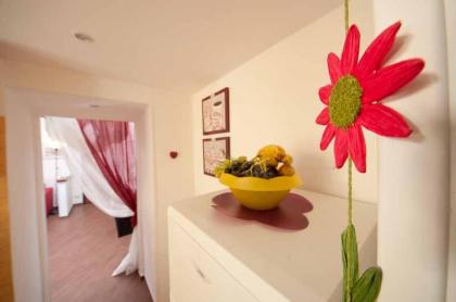 Comfortable apartment very close to the Vatican Free Wifi no123 - image 13