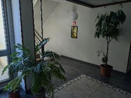 Nice apartment in Roma near San Giovanni Train Station - image 8