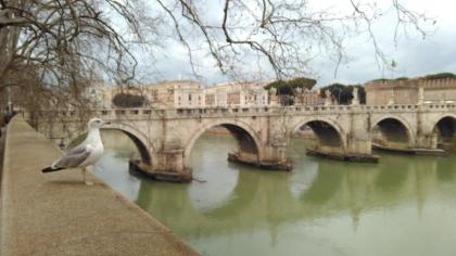 Lory flat near Ostia skatepark Fiumicino airport - image 17