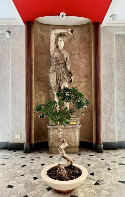 Lifestyle Vatican Apartment - image 19